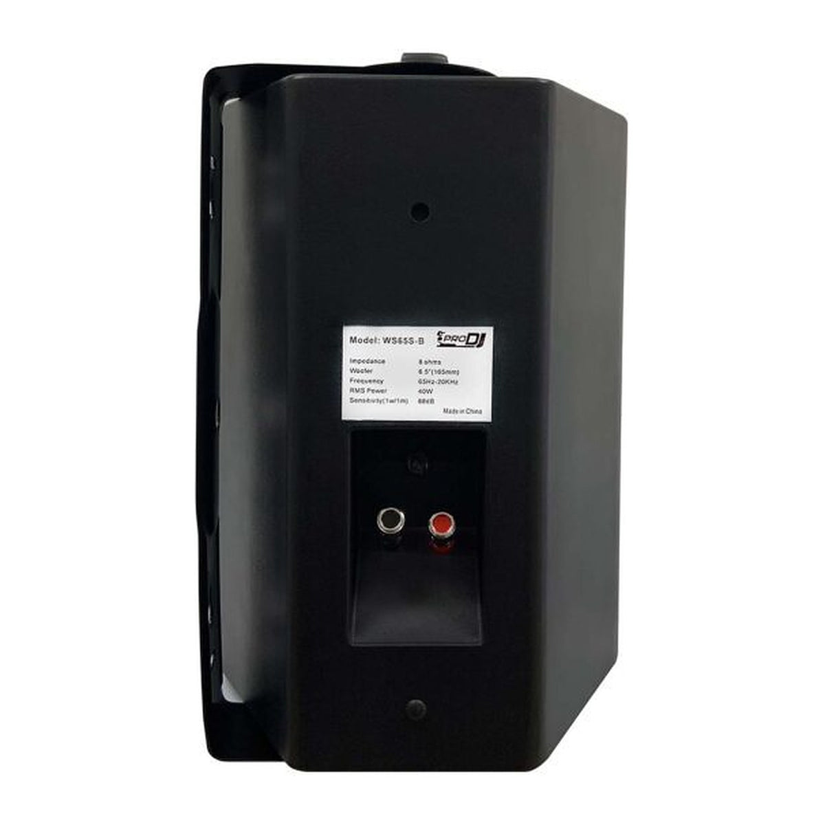 PARLANTES AMBIENTALES DE SOBREPONER PRODJ WS65S-B (PAR)